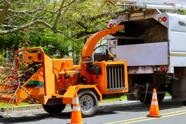 Best Grass Overseeding  in Spotswood, NJ